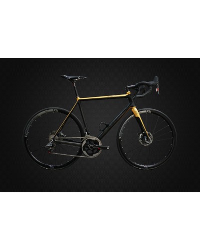 Konstructive RHODOLITE DBV Disc Road frame, pure carbon style