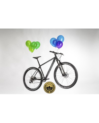 Konstructive IOLITE 29 Mountain Bike Rahmen-Set / frame set, pure carbon style