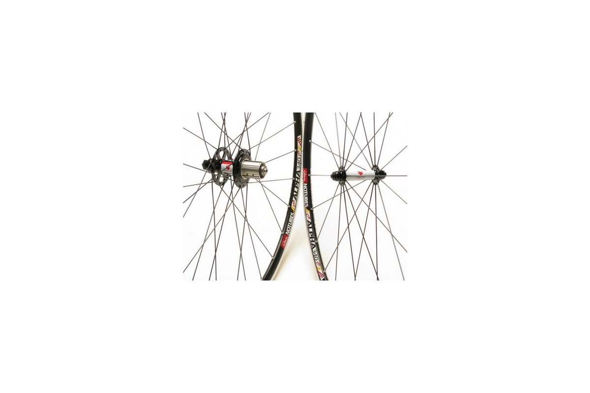 ZTR ALPHA Team American Classic Disc Laufradsatz,  32 L., schwarz, konifizierte DT Speichen, DT Aluminium Nippel
