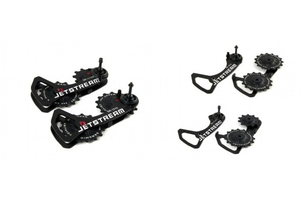 Oversized Derailleur Pulley System with Cage